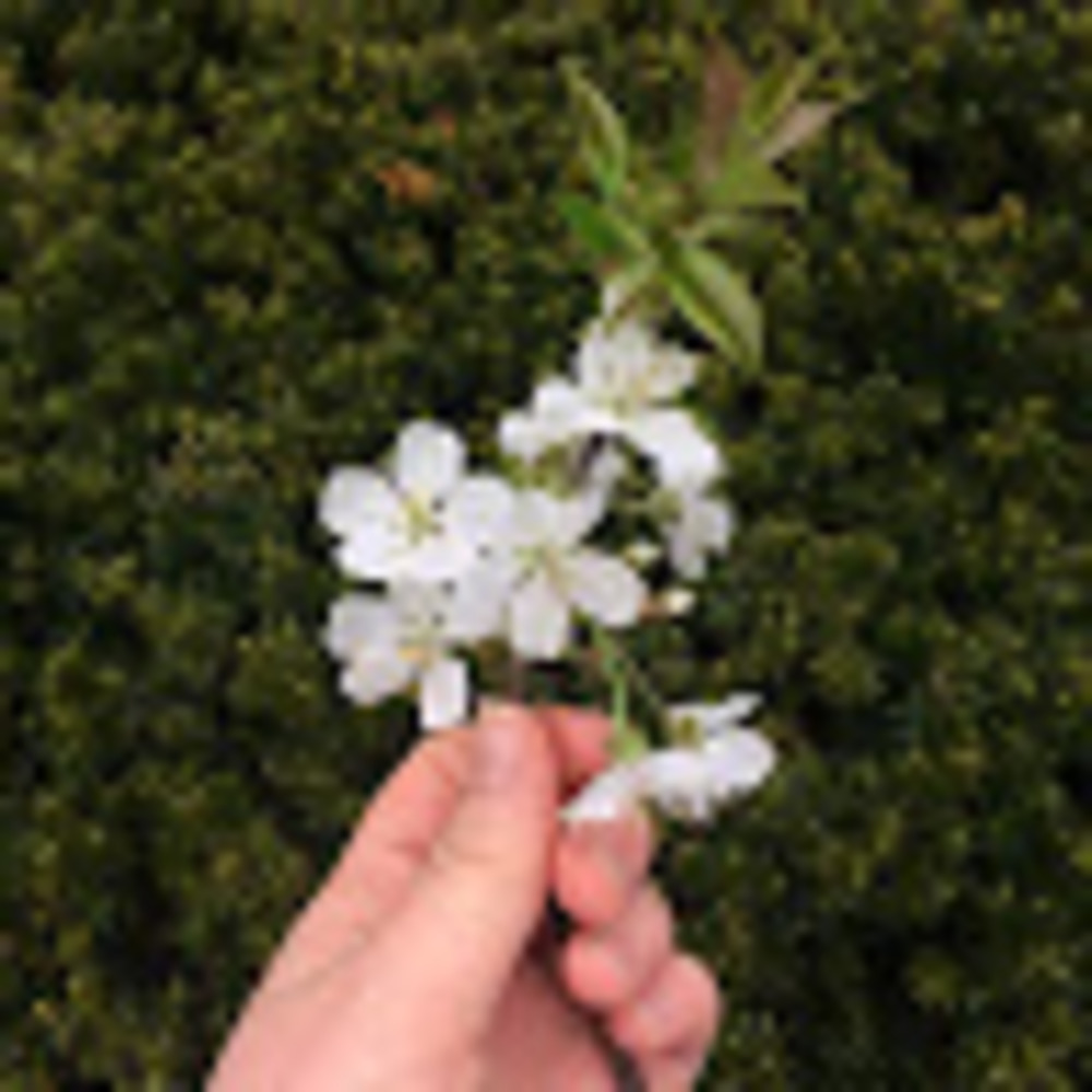 Meet your Posher, Kaylee